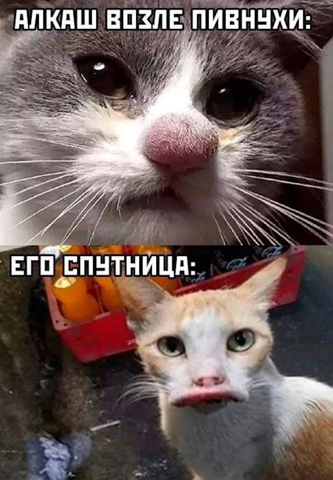 Поднимите настроение с нашим специально созданным контентом!