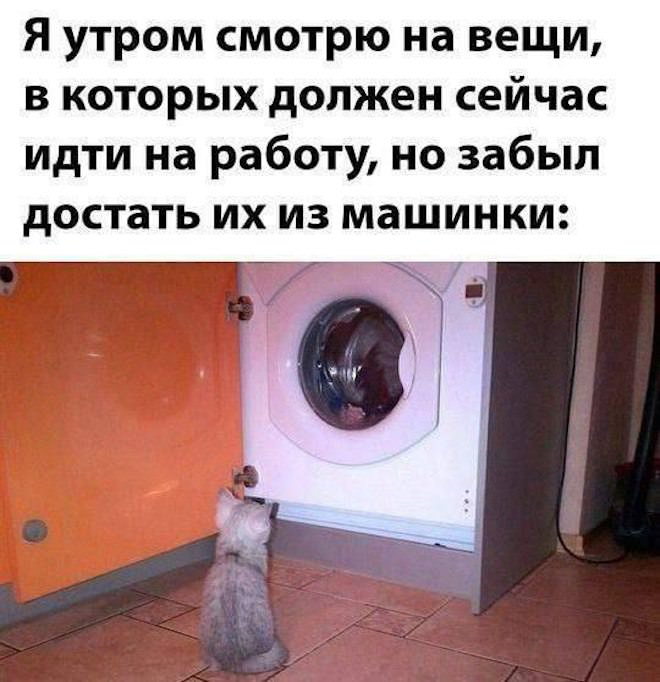 Веселые и радостные моменты в одном сборнике!