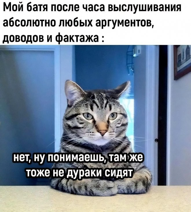 Веселые и радостные моменты в одном сборнике!