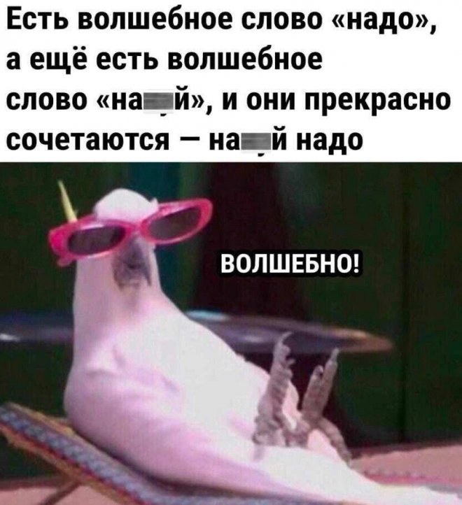 Веселые и радостные моменты в одном сборнике!