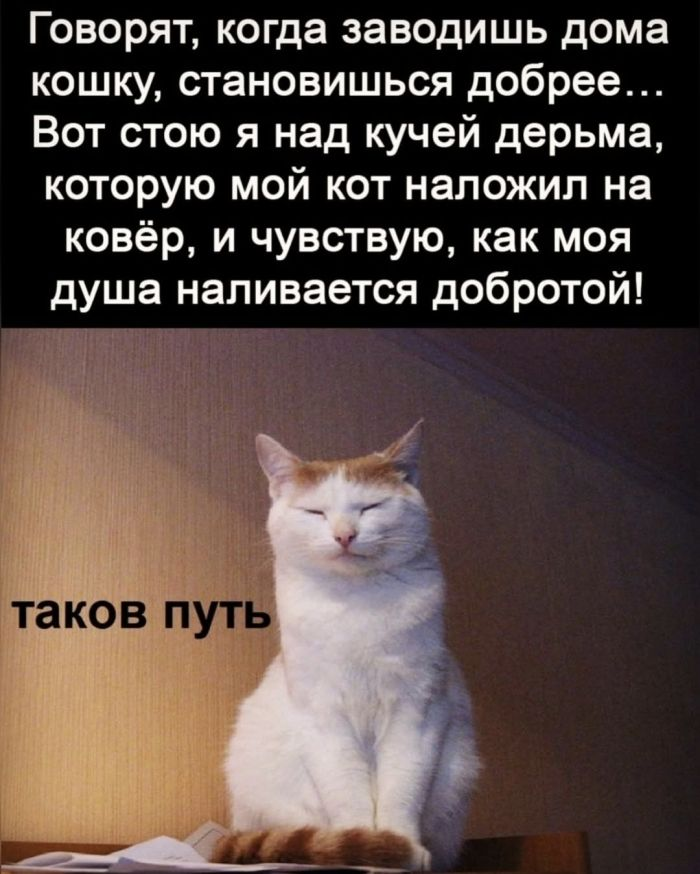 Положительный заряд гарантирован: мы заботимся о вашем позитиве!