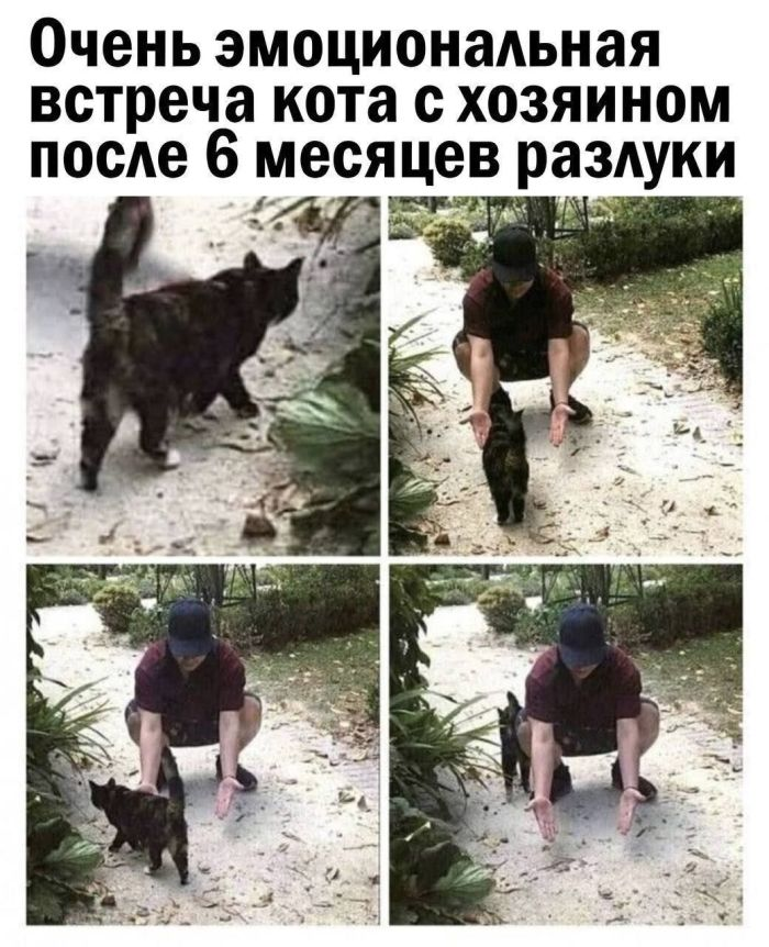 Положительный заряд гарантирован: мы заботимся о вашем позитиве!