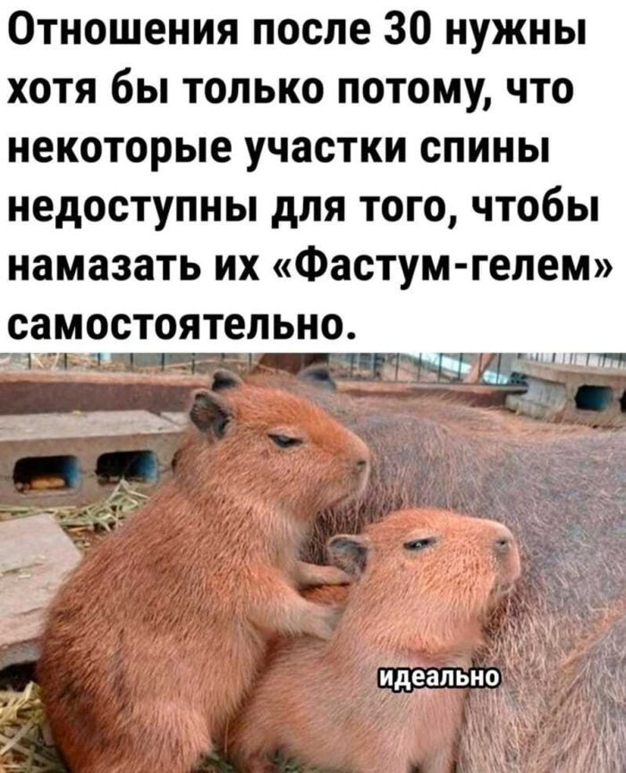 Положительный заряд гарантирован: мы заботимся о вашем позитиве!