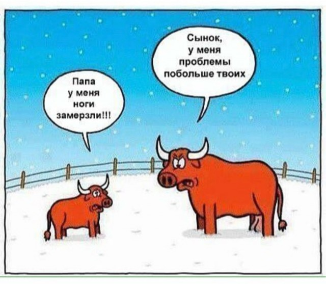 Положительный заряд гарантирован: мы заботимся о вашем позитиве!