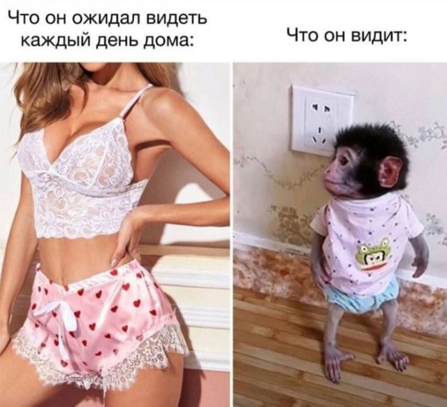 Положительный заряд гарантирован: мы заботимся о вашем позитиве!