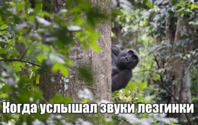 Положительный заряд гарантирован: мы заботимся о вашем позитиве!