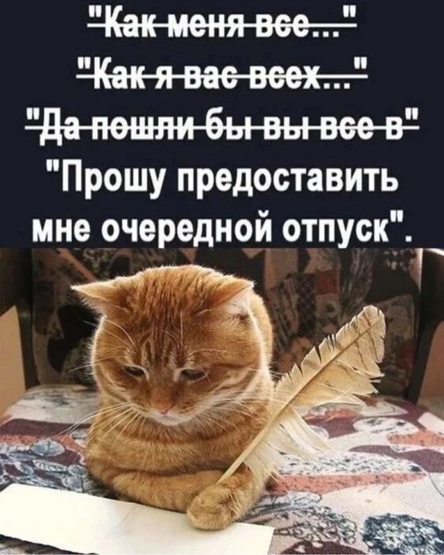 Положительный заряд гарантирован: мы заботимся о вашем позитиве!