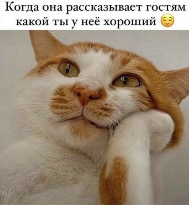 Положительный заряд гарантирован: мы заботимся о вашем позитиве!