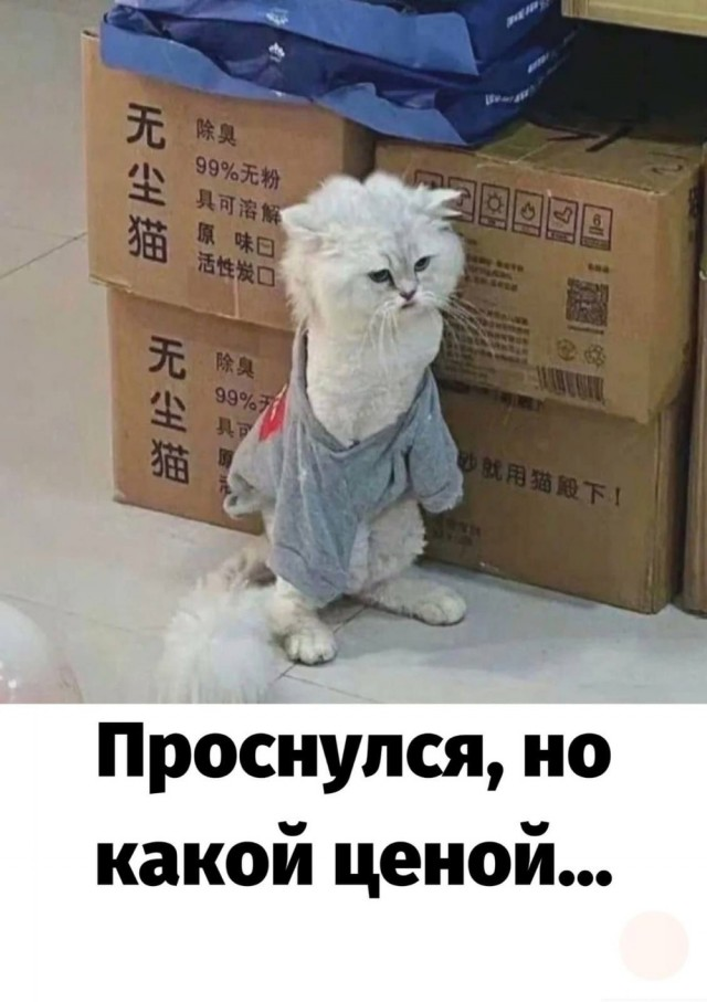 Положительный заряд гарантирован: мы заботимся о вашем позитиве!