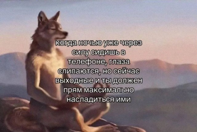 Смехопанорама: Большой сборник приколов в мемах и картинках для пятничного настроения