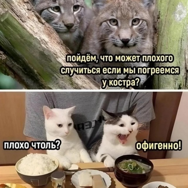 Смехопанорама: Большой сборник приколов в мемах и картинках для пятничного настроения