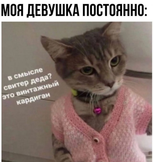 Смехопанорама: Большой сборник приколов в мемах и картинках для пятничного настроения