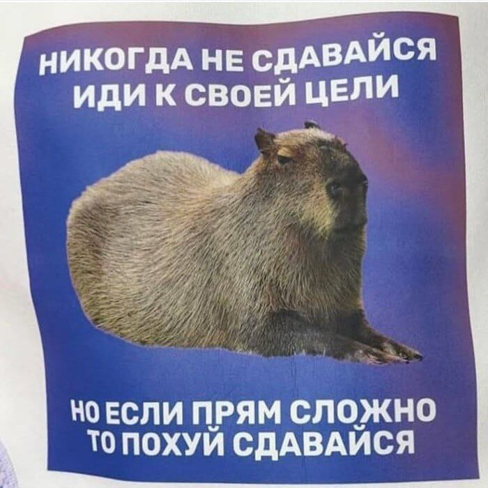 Ура, наступили выходные! Время радости, смеха и позитива!