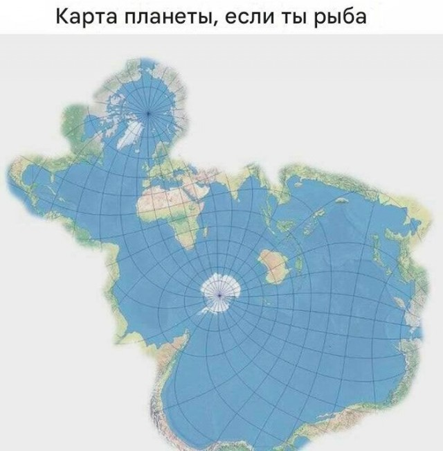 Ура, наступили выходные! Время радости, смеха и позитива!
