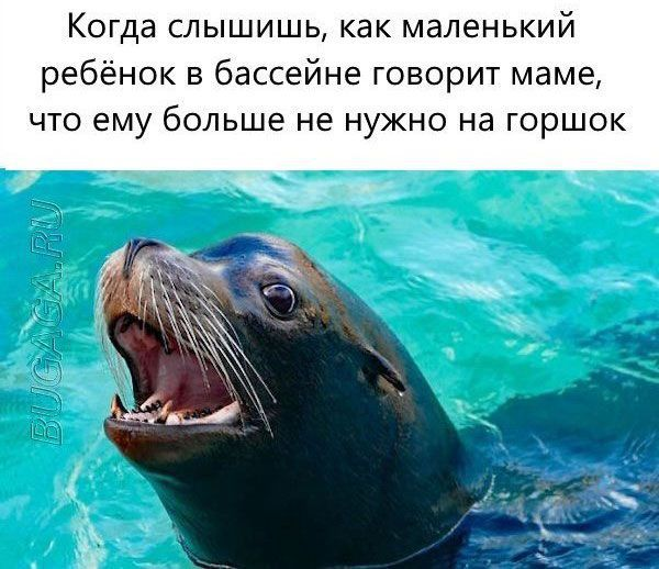 Ура, наступили выходные! Время радости, смеха и позитива!