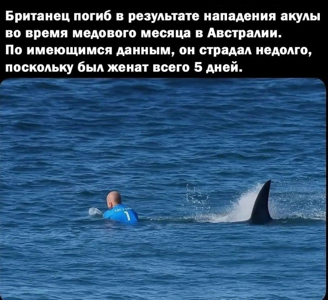 Ура, наступили выходные! Время радости, смеха и позитива!