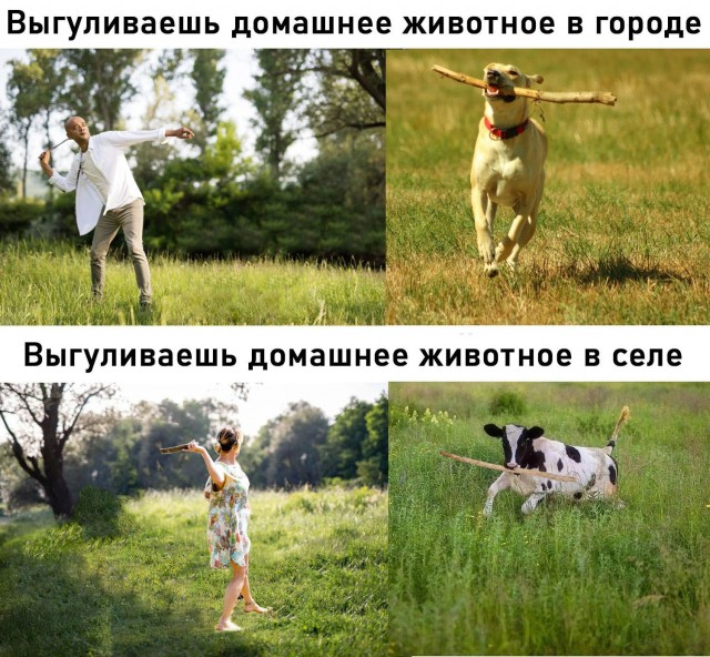 Ура, наступили выходные! Время радости, смеха и позитива!