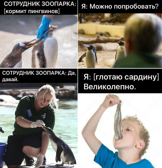 Ура, наступили выходные! Время радости, смеха и позитива!