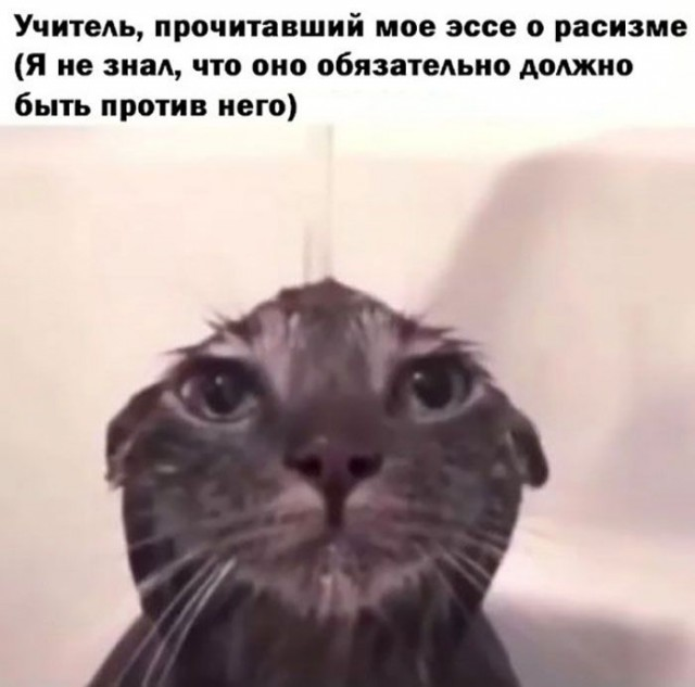 Ура, наступили выходные! Время радости, смеха и позитива!