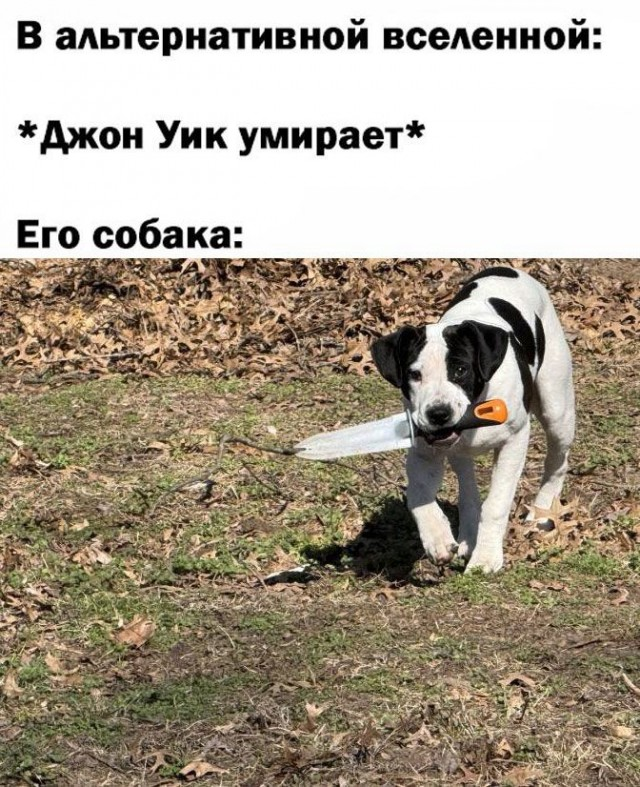 Ура, наступили выходные! Время радости, смеха и позитива!