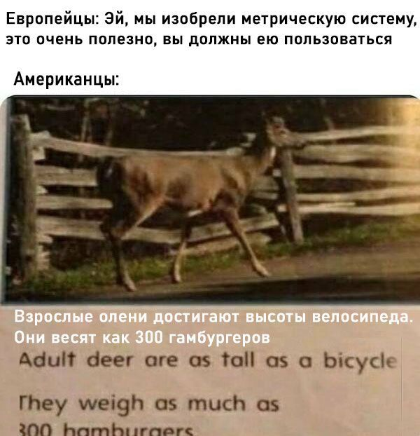 Ура, наступили выходные! Время радости, смеха и позитива!