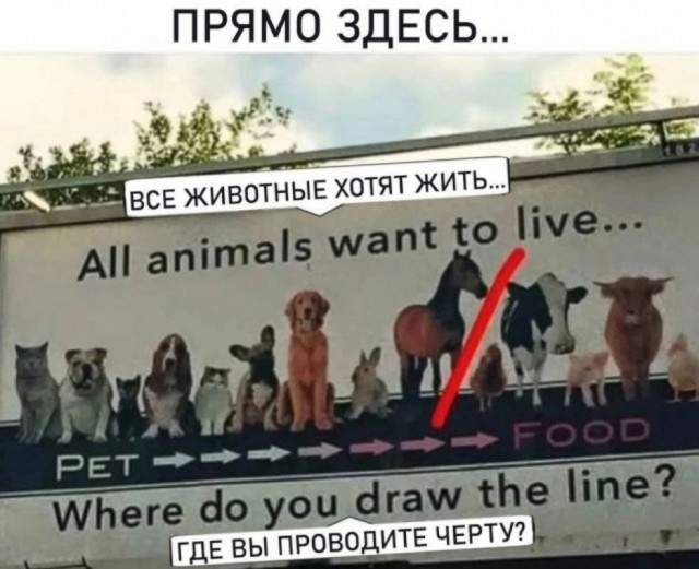 Ура, наступили выходные! Время радости, смеха и позитива!