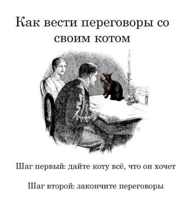 Ура, наступили выходные! Время радости, смеха и позитива!