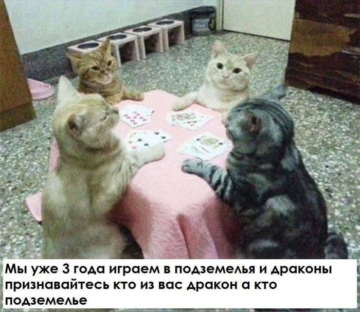 Наступили выходные - время заряжаться позитивом!