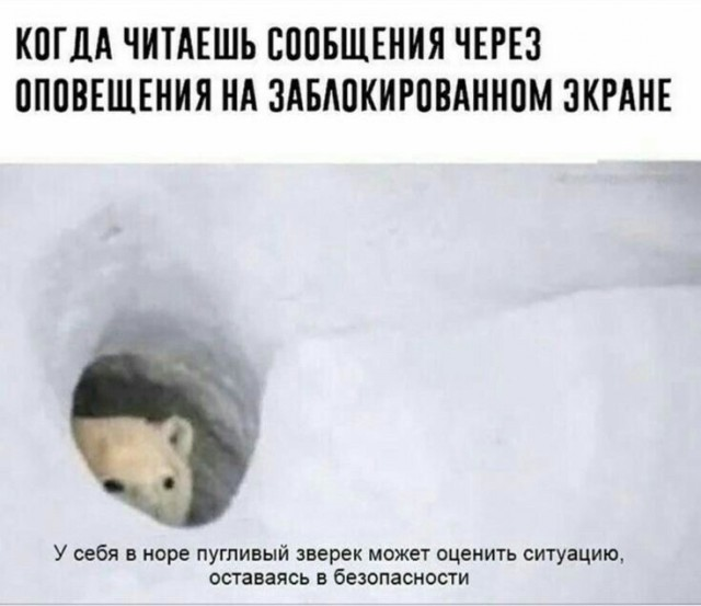 Наступили выходные - время заряжаться позитивом!