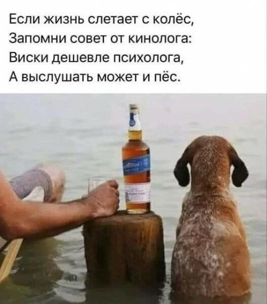 Наступили выходные - время заряжаться позитивом!