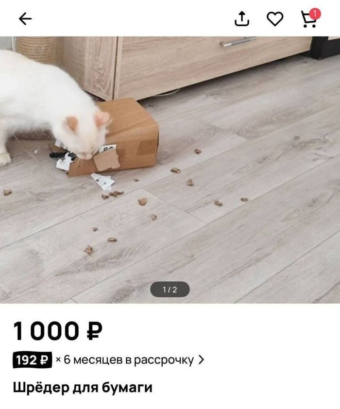 Темный юмор: для взрослых с чувством юмора!