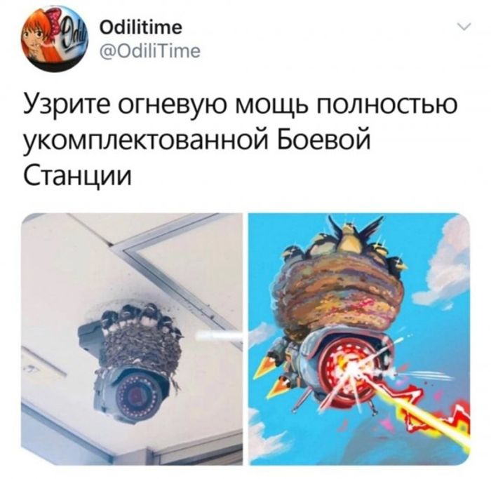 Темный юмор: для взрослых с чувством юмора!