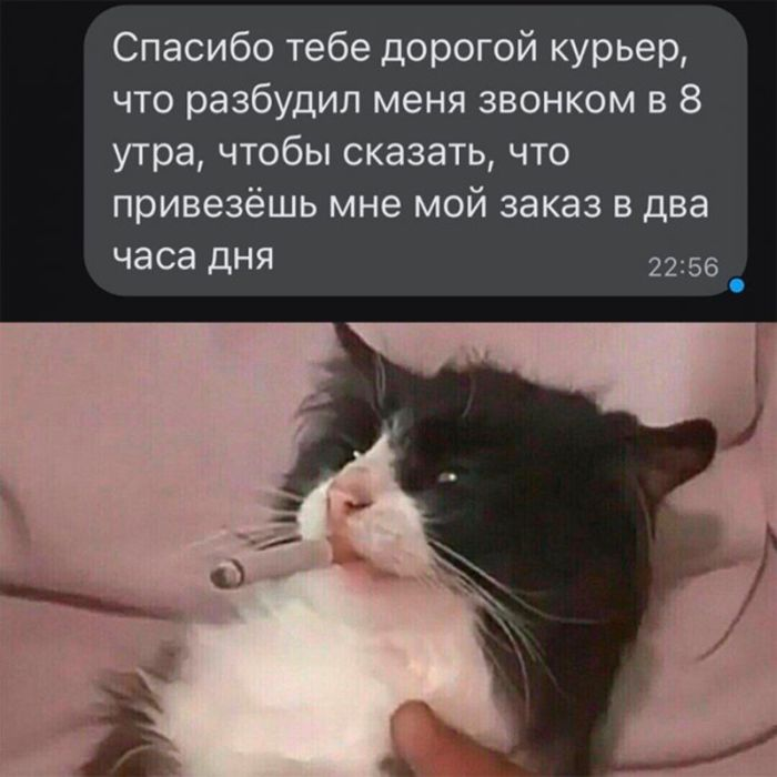 Темный юмор: для взрослых с чувством юмора!