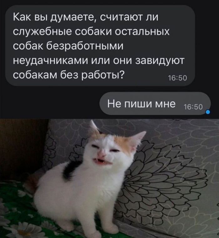Темный юмор: для взрослых с чувством юмора!