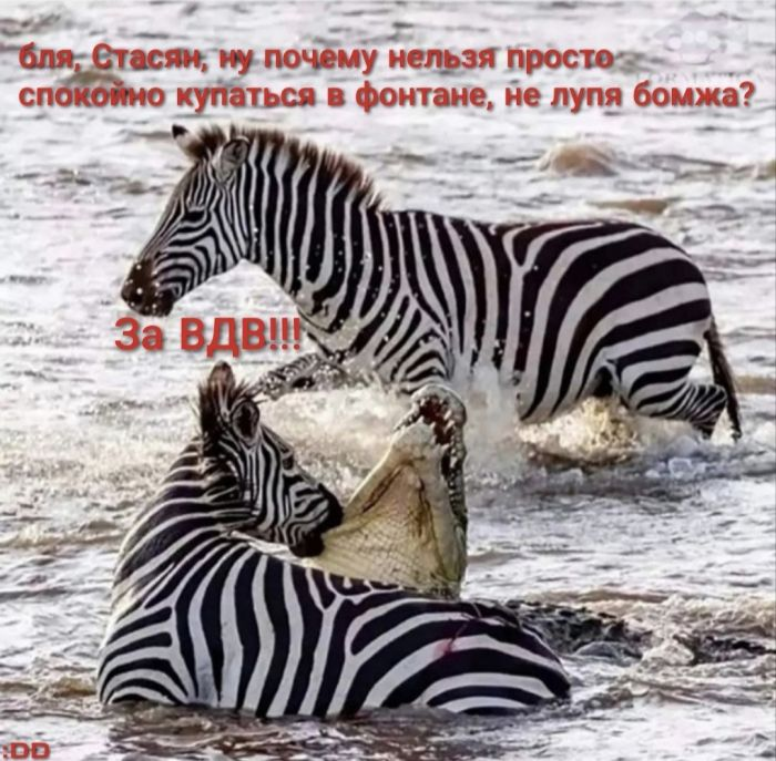 Понедельник - день возможностей: улыбнитесь и начните неделю с позитивом!