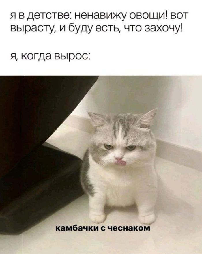 Понедельник - день возможностей: улыбнитесь и начните неделю с позитивом!