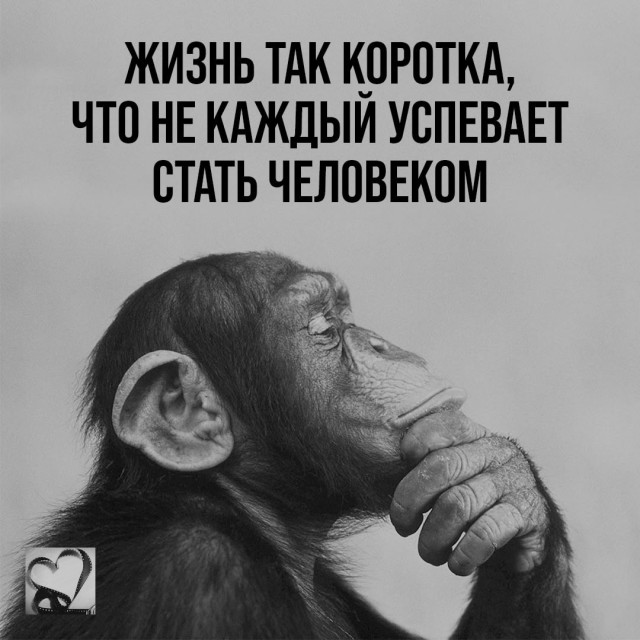 Понедельник - день возможностей: улыбнитесь и начните неделю с позитивом!