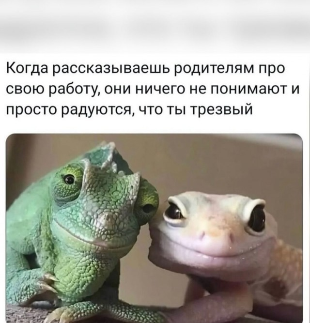 Понедельник - день возможностей: улыбнитесь и начните неделю с позитивом!