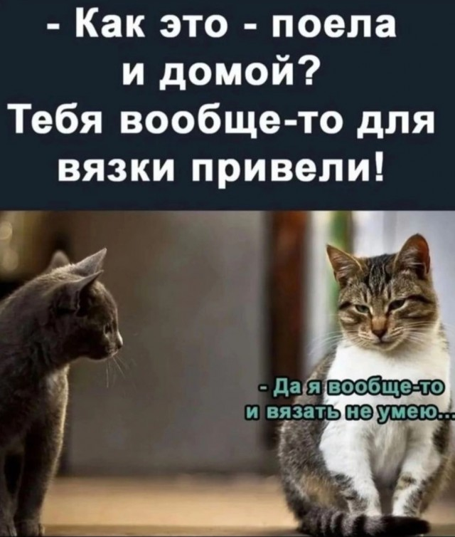 Понедельник - день возможностей: улыбнитесь и начните неделю с позитивом!