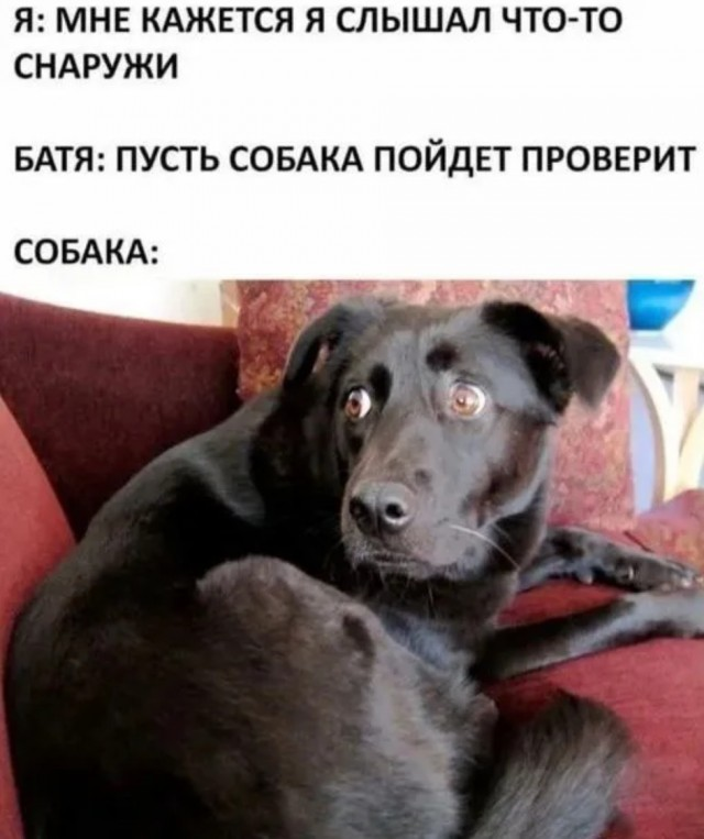 Понедельник - день возможностей: улыбнитесь и начните неделю с позитивом!