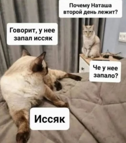 Понедельник - день возможностей: улыбнитесь и начните неделю с позитивом!