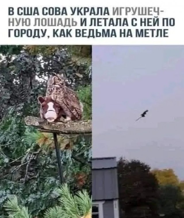Понедельник - день возможностей: улыбнитесь и начните неделю с позитивом!
