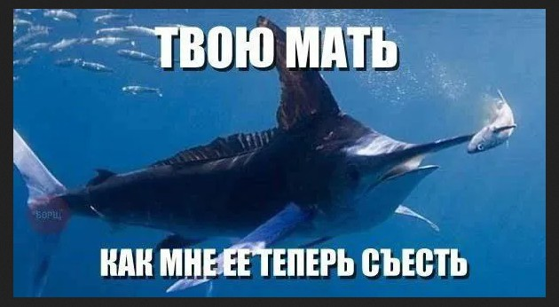 Понедельник - день возможностей: улыбнитесь и начните неделю с позитивом!