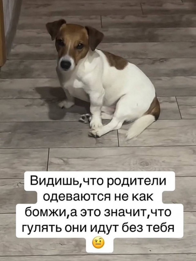 Понедельник - день возможностей: улыбнитесь и начните неделю с позитивом!