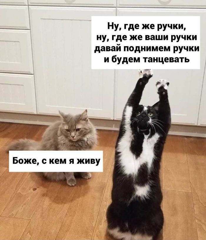 Тёмный юмор: когда смех обретает черную грань
