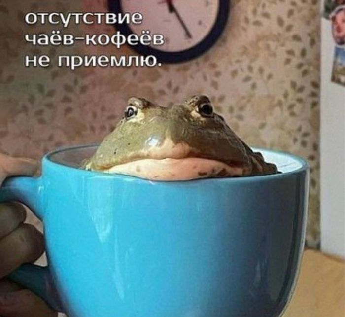 Сборник веселых мемов и картинок для поднятия настроения!