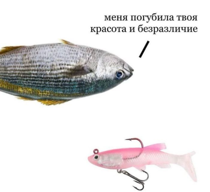 Сборник веселых мемов и картинок для поднятия настроения!