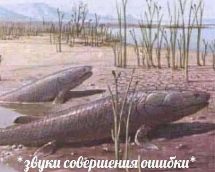 Сборник веселых мемов и картинок для поднятия настроения!