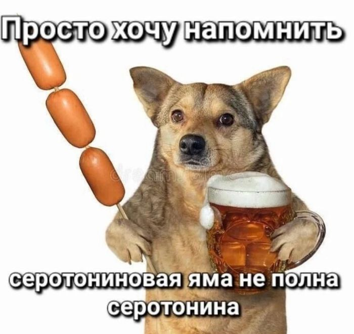 Сборник веселых мемов и картинок для поднятия настроения!