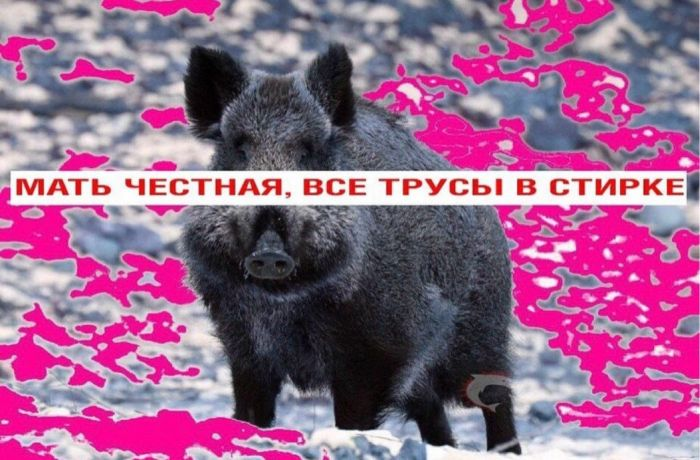 Сборник веселых мемов и картинок для поднятия настроения!